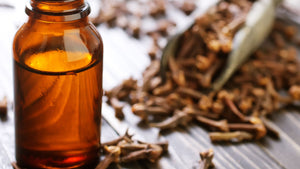 Clove Essential Oil: The Aroma of Diwali in India
