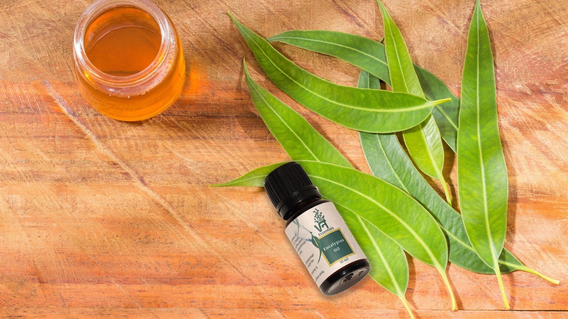 EUCALYPTUS OIL - All Health Benefits You Need to Know