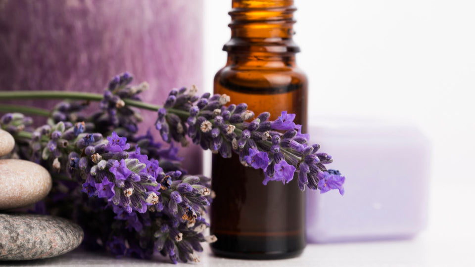 Lavender Essential Oil: Tranquility Amidst Diwali's Vibrancy