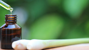 Lemongrass Essential Oil: The zestful spice of Diwali