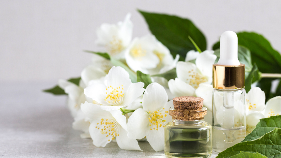 DECODING THE ESSENCE OF JASMINE ESSENTIAL OIL