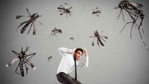 THE MAYHEM OF MOSQUITOES - How to Protect Yourself?