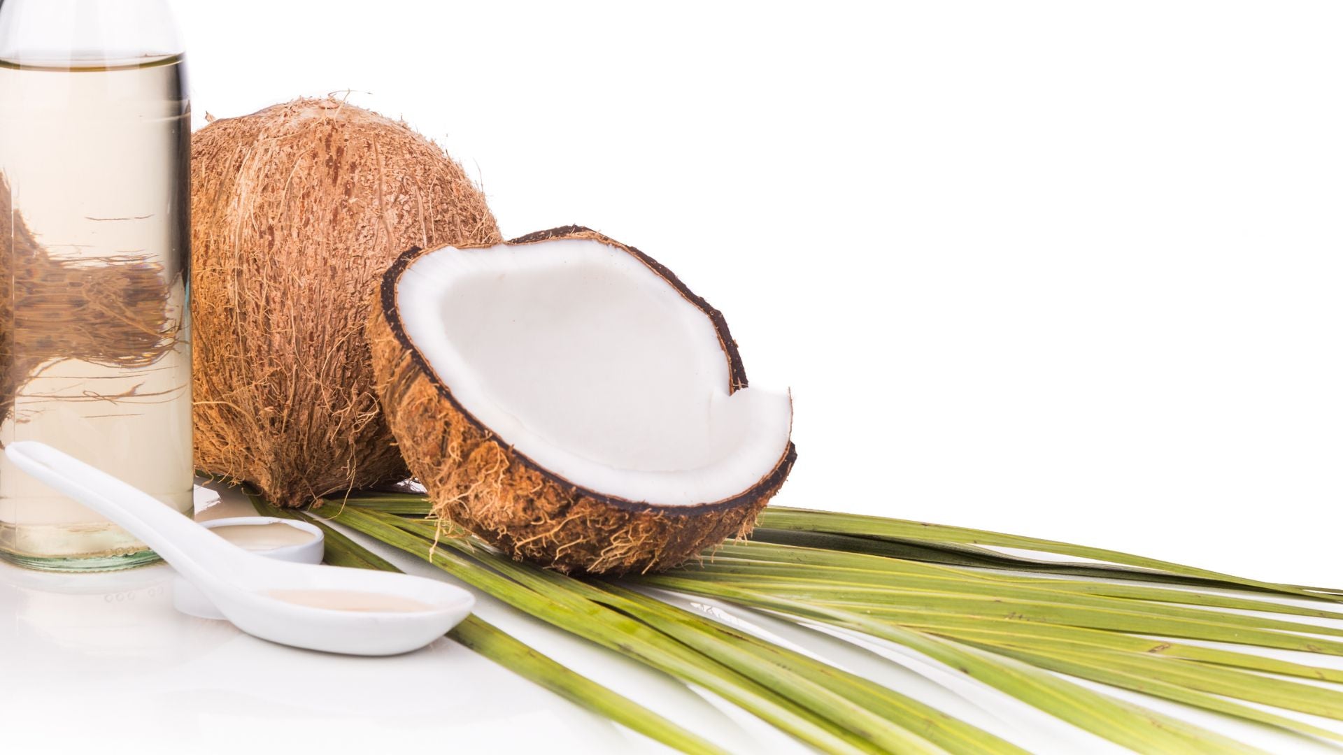 The Endless Benefits of Virgin Coconut Oil For Your Hair