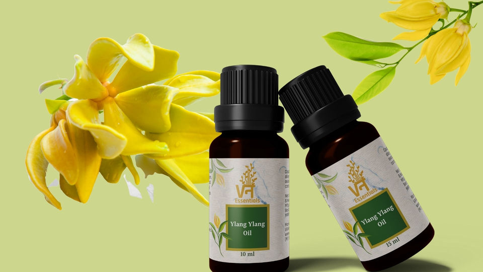 YLANG YLANG OIL - What are the benefits?