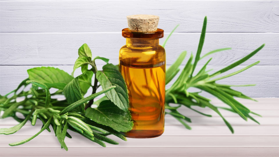 TEA TREE OIL - Get To Know It All