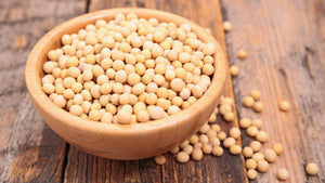 THE SUNNY SIDE OF SOY NUTS