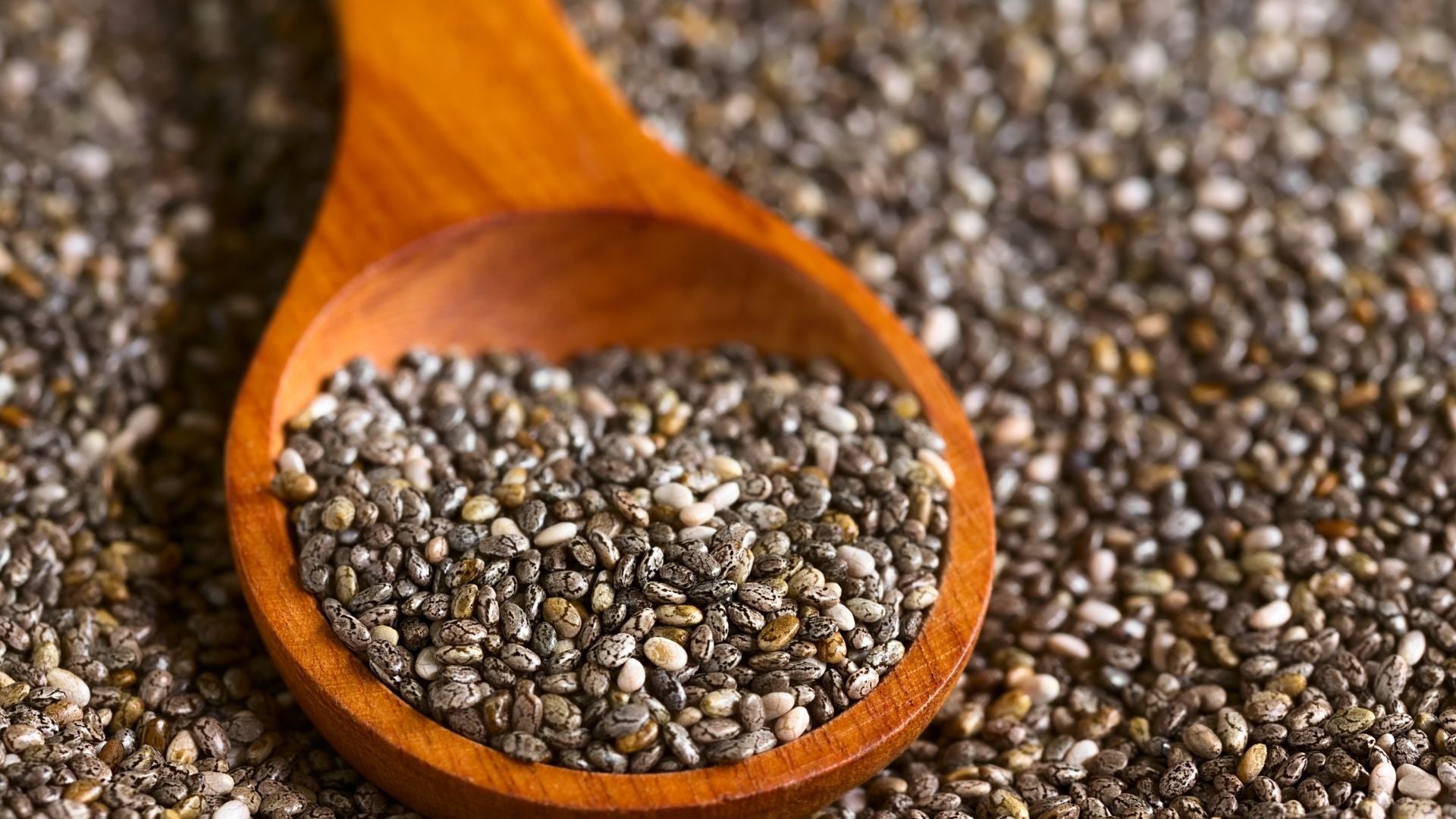 CHIA SEEDS: YOUR QUESTIONS ASKED