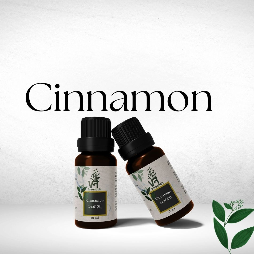 Cinnamon Leaf for Aromatherapy