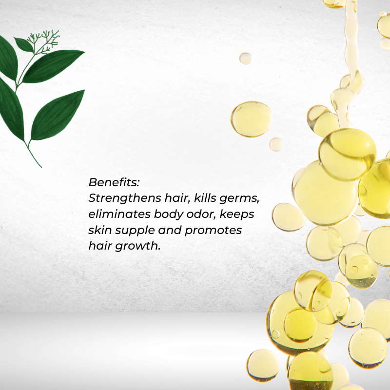 Cinnamon Leaf for Aromatherapy