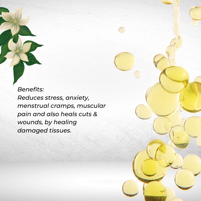 Jasmine Sweet Aroma for Natural Perfumes, Difusers, Massage Oil