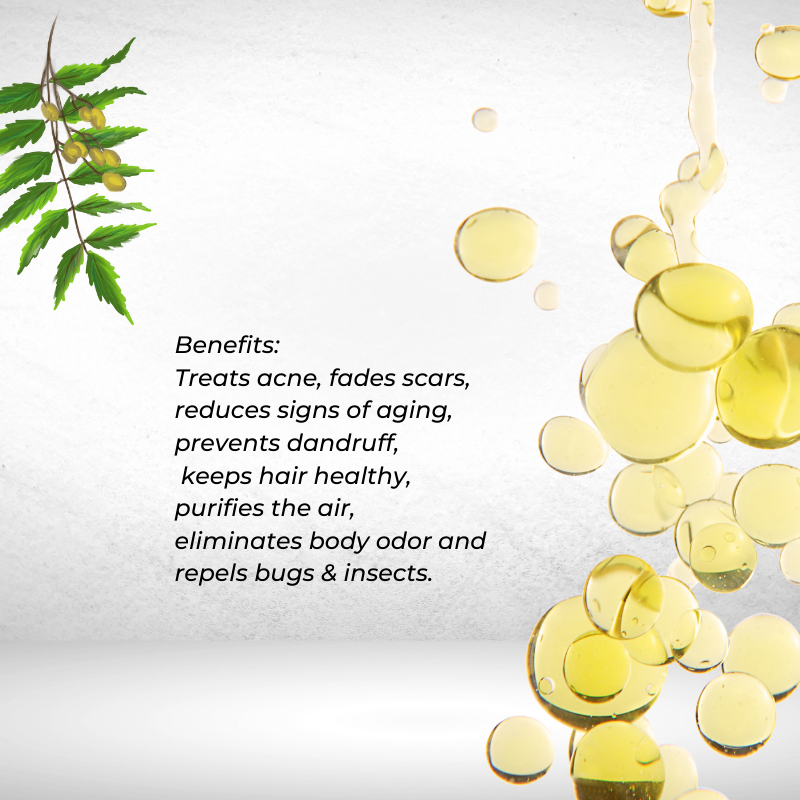 Neem Essential Oil for keeping Skin, Hair & Nails Soft & Moisturized