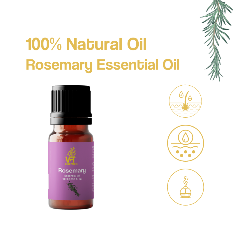 Rosemary Essential Oil for Hair Growth | Controls Hair Fall