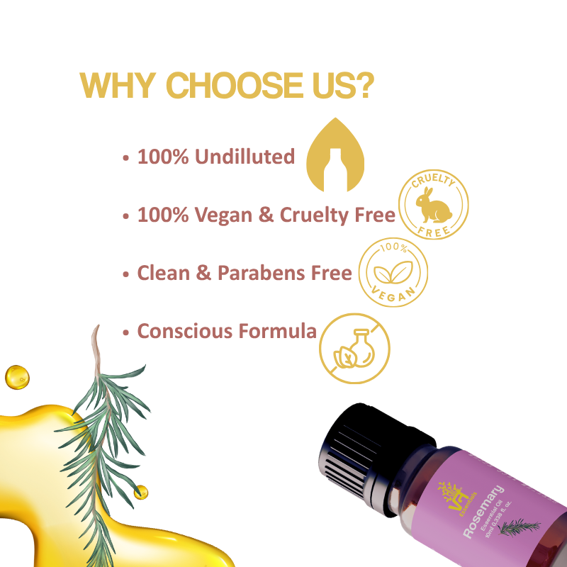 Rosemary Essential Oil for Hair Growth | Controls Hair Fall