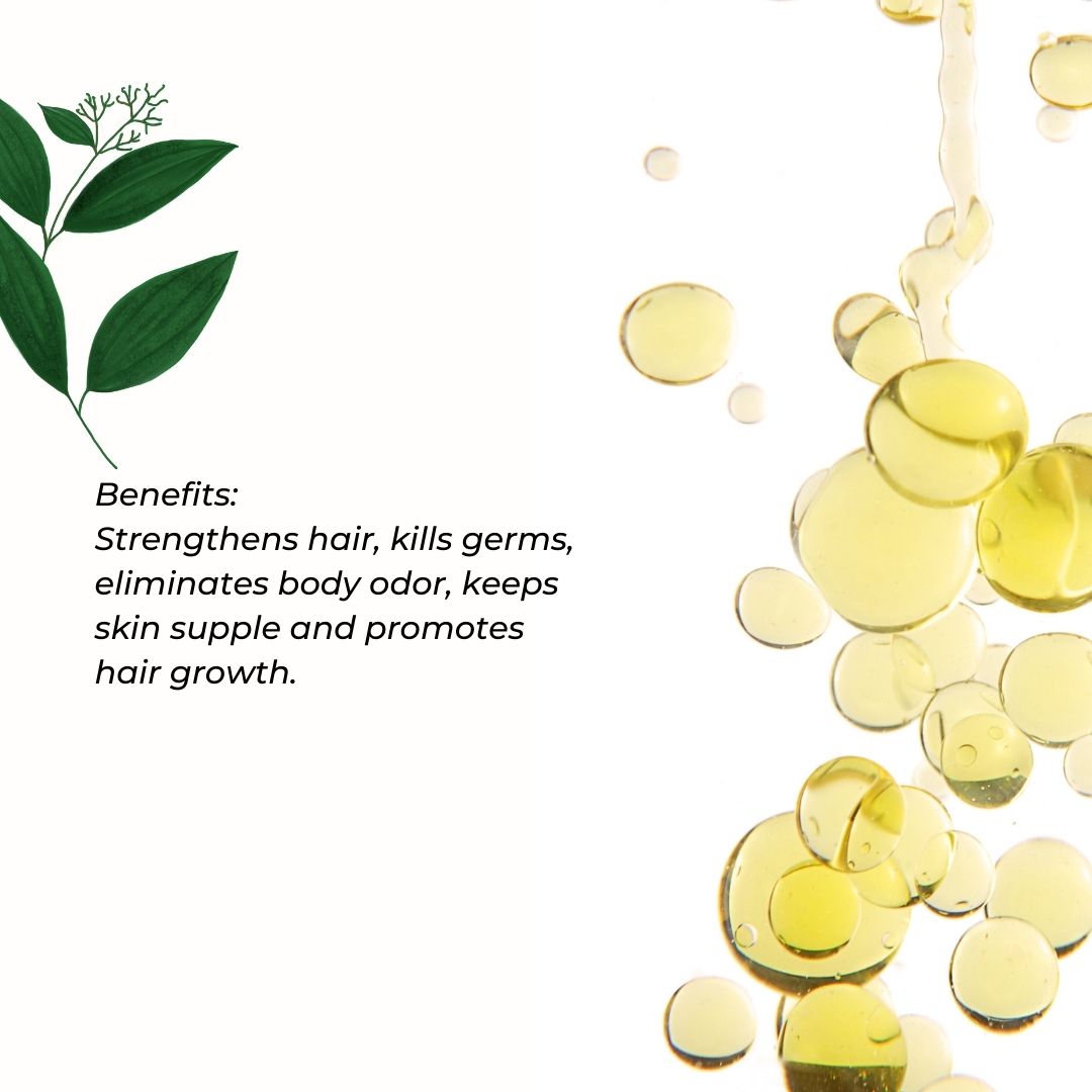 Cinnamon Leaf for Aromatherapy